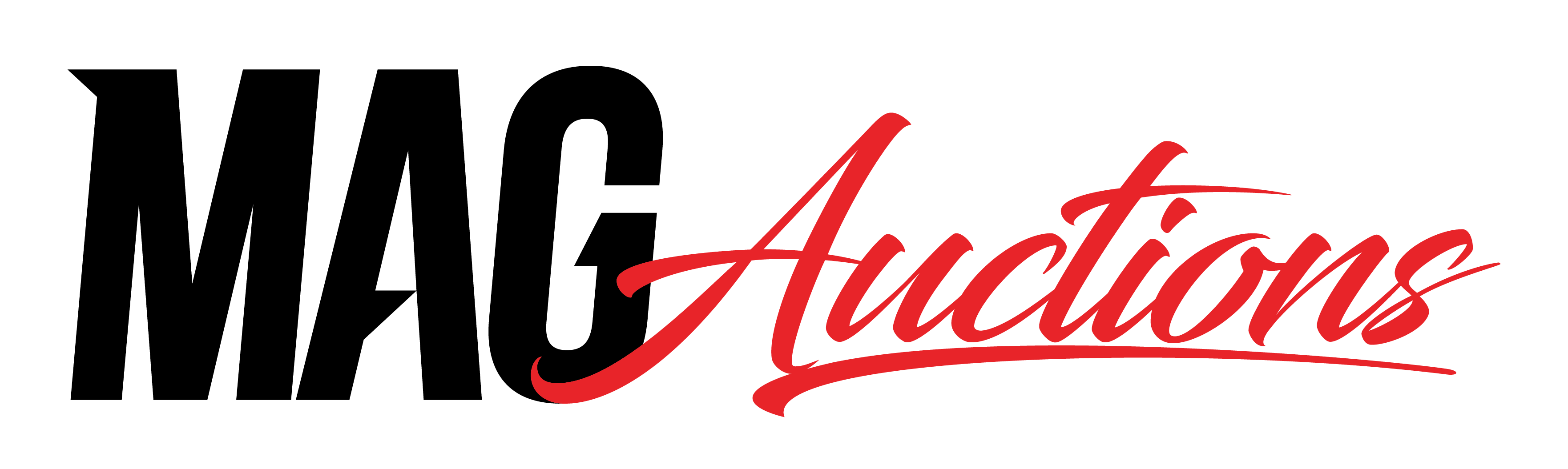 mag-motorsport-auction-group-logo